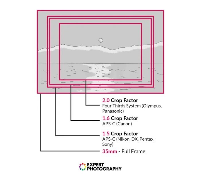 Crop factor infographic