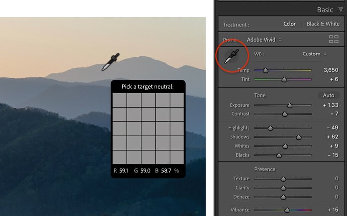 Lightroom white balance eyedropper