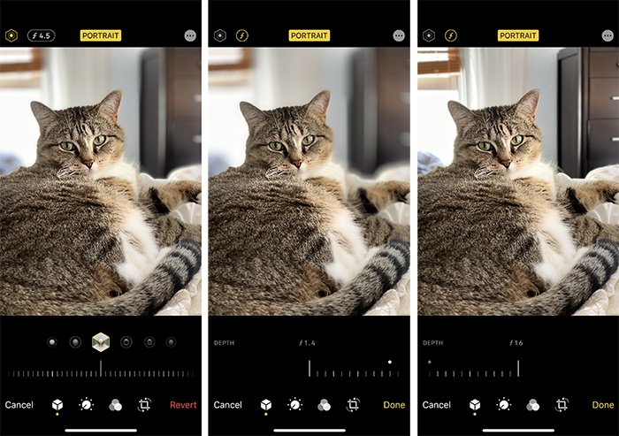 Triptych cat portrait using iPhone at f/4.5, f/1.4, and f/16 apertures for various depths of field