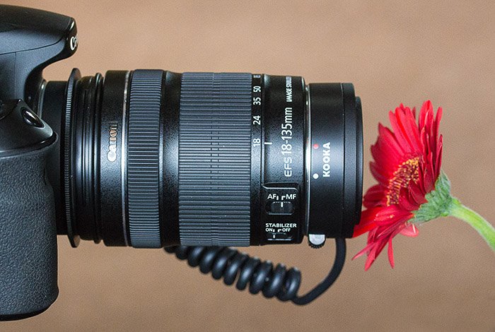 A DSLR taking a macro photo of a flower