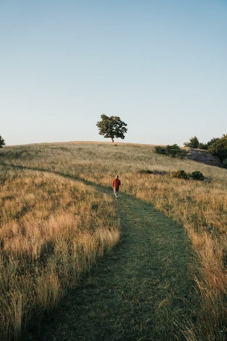 Man walking away along mowed path in a meadow