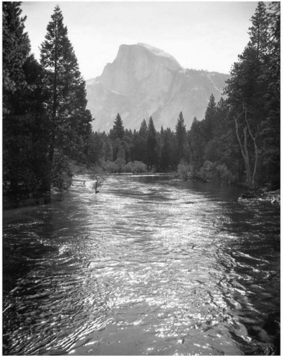 River flowing through a forest with rocky peak in the background