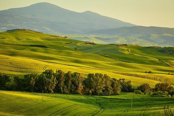 Landscape of green hills in the golden hour