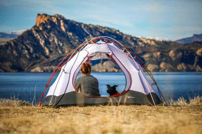 Sweet and serene shot of a woman and dog in a tent looking towards the seascape and mountains ahead