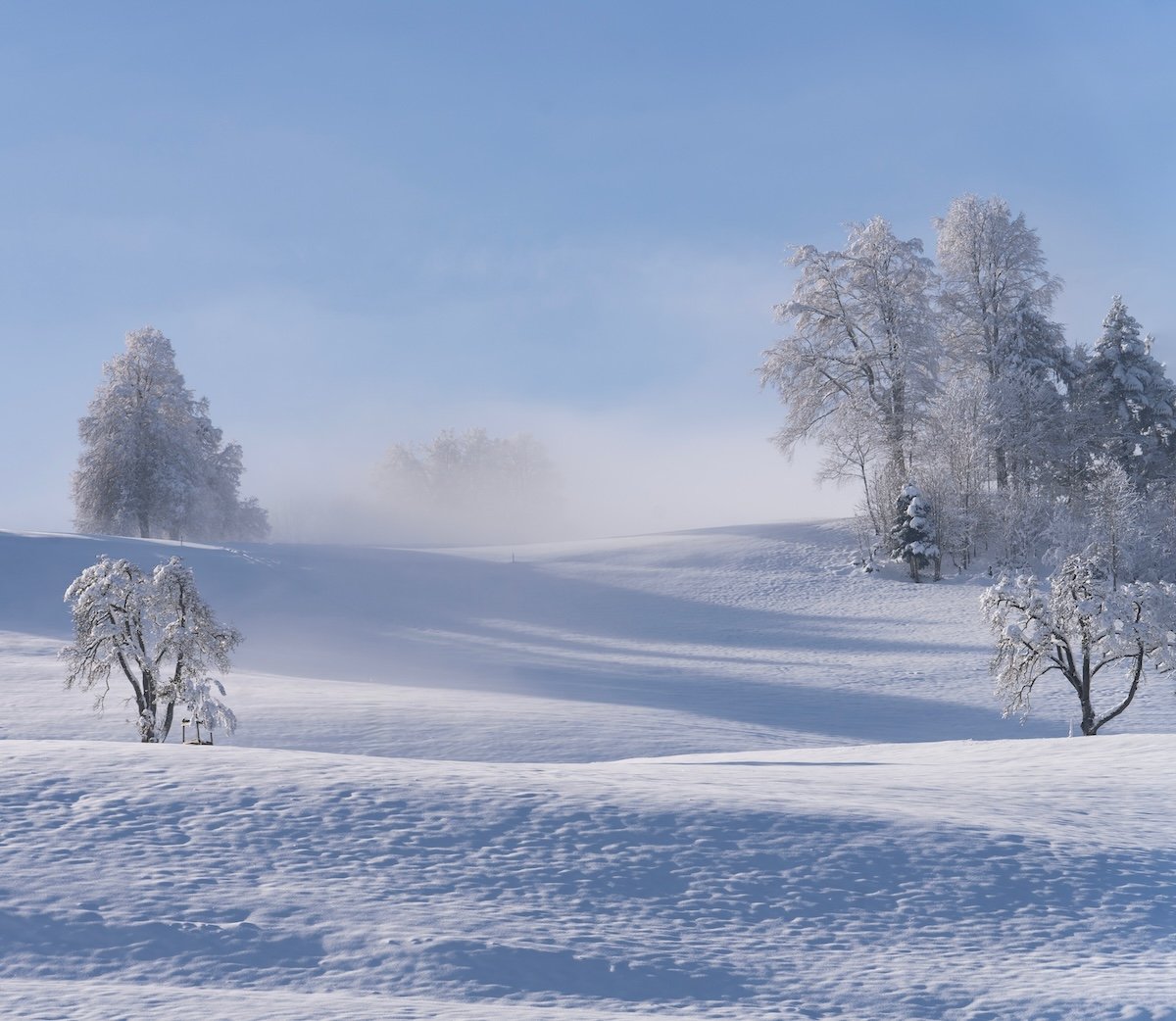 A sunny snow landscape shot with the sunny 22 rule