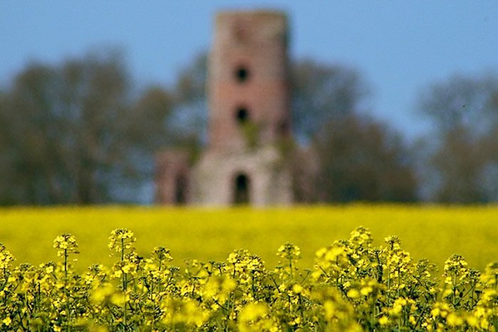 Blurry field with a castle in the background