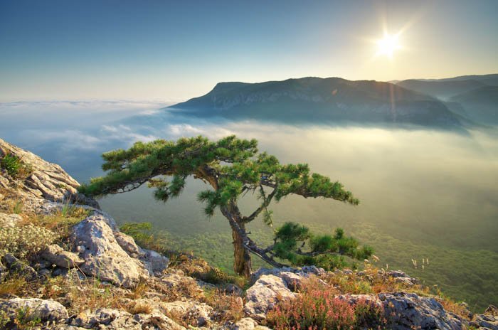 A travel photography image of a foggy landscape and sunrise