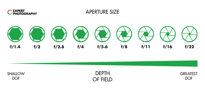 Diagram explaining depth of field and aperture sizes