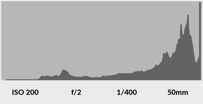 screenshot of reading a camera histogram