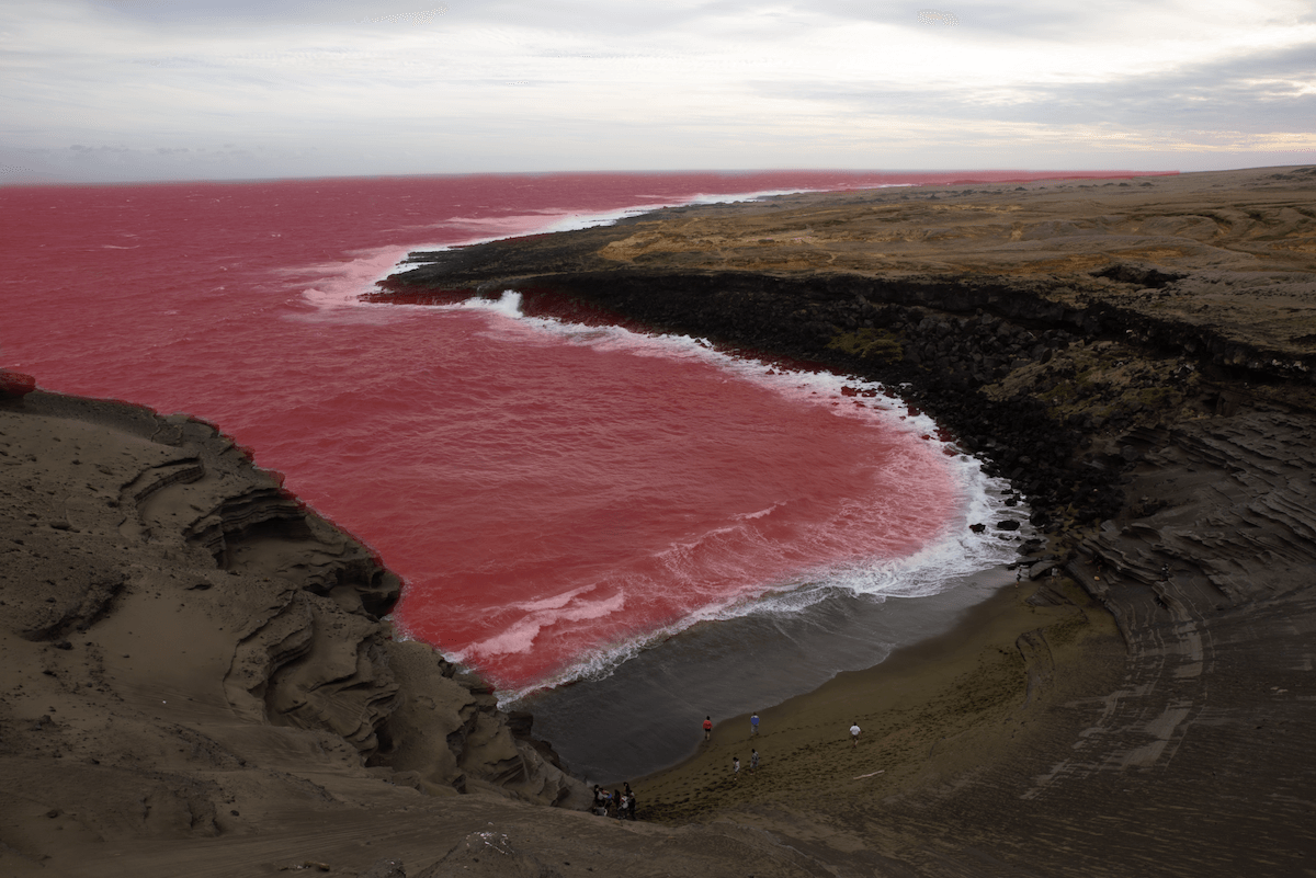 photograph of a cove from above with the sea masked