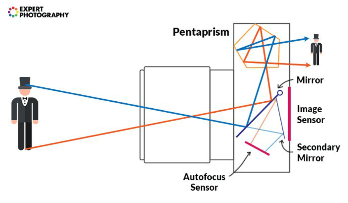 A diagram showing how a DSLR works